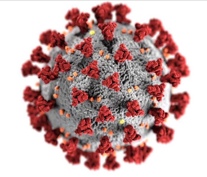 Closeup Illustration of a Virus Particle